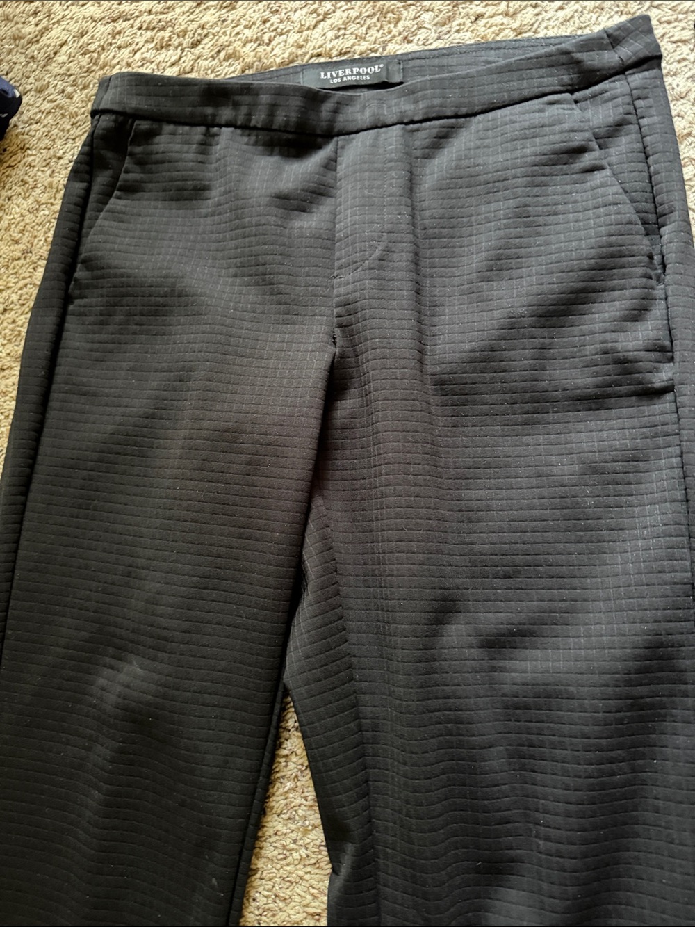 Liverpool Black Textured Skinny Pants for Women
